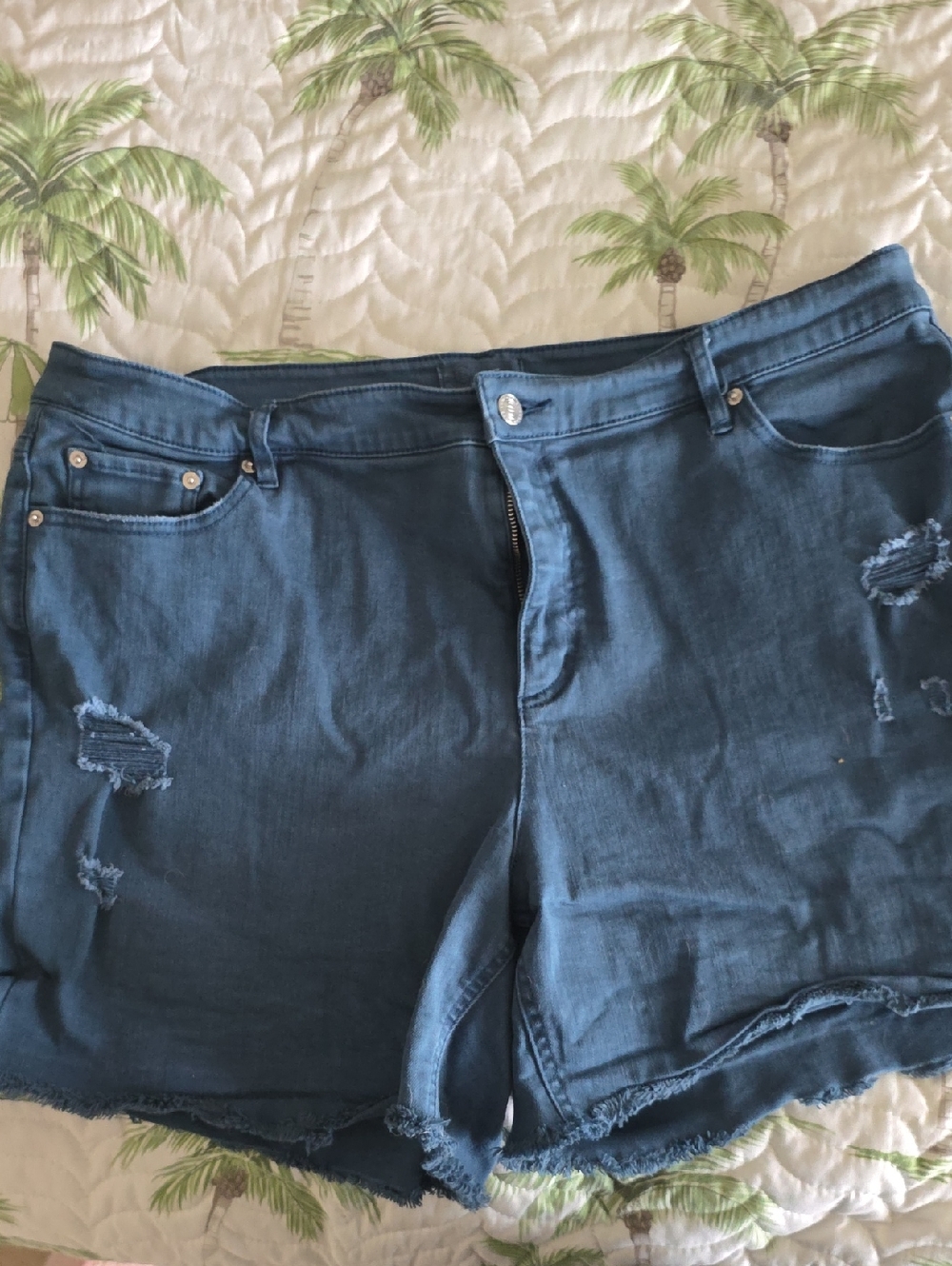 Candace Cameron Bure Dark Greenish Blue Distressed Denim Cutoff Shorts